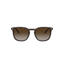 Vogue Eyewear 0VO5328S Brown Evergreen Square Sunglasses (49 mm)