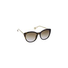 Gio Collection GM0859C03 53 Cat Eye Sunglasses
