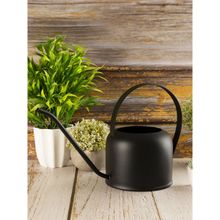 Metalsmith Black Watering Can For Home And Office