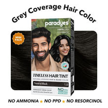 Paradyes Mini Root Touch Up Timeless Permanent Creme Hair Colour - 1.0 Natural Black