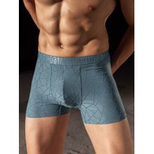 DaMENSCH Blue Supremely Lightweight & Premium Jacquard Texture Trunk