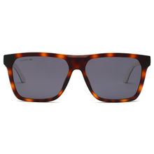 Lacoste Smoke Gradient Lens Rectangle Sunglass Full Rim Matte Havana Frame (57)