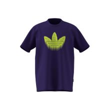 adidas Originals Men SKELETON TR TEE T-Shirt