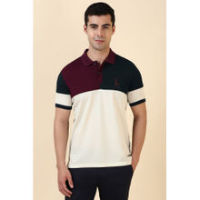 Allen Solly Navy Blue Colorblock Regular Fit Polo T-Shirt