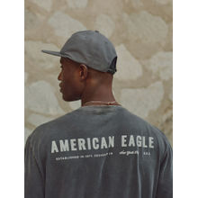 American Eagle Grey Printed Regular Fit T-Shirt