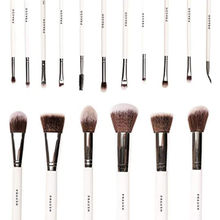 Praush Formerly Plume 16 Pcs Professional Makeup Brush Set Face & Eyes with Makeup Bag