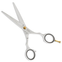 VEGA Professional Pro Style Satin 6 Silver Line Hairdressing Scissor