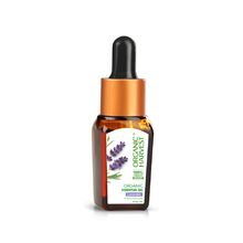 Organic Harvest Lavender Essential Oil Helps in Hair Growth, Face Care, Excellent for Aromatherapy