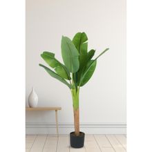 Home Bloom Decoration Artificial Banana Plants for Indoor & Outdoor with Pot