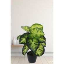 Home Bloom Artificial PVC Big Leaves Plants for Indoor Outdoor with Pot 12 Leaves