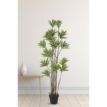 Home Bloom Artificial Dracaena Reflex Plants for Indoor & Outdoor with Pot