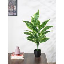 Home Bloom Artificial Snake Plant for Home Decor with Basic Black Pot 26 Leaves