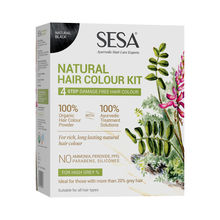 SESA 4 Step Natural Hair Colour Kit - For High Grey % - 100% Organic & Ayurvedic - No Ammonia