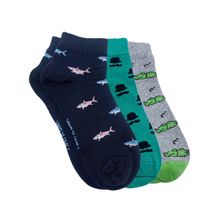 Mint & Oak Simply Color Ankle Length Pack of 3 Socks for Men - Multi-Color (Free Size)
