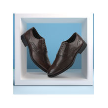 WOODLAND Men Brown Formal Brogues