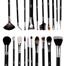 VEGA Set Of 20 Brushes