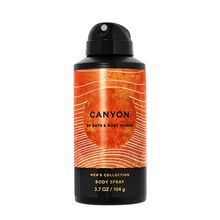 Bath & Body Works Canyon Body Spray