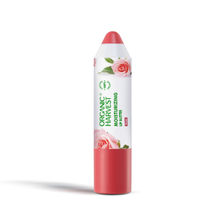 Organic Harvest Moisturizing Lip Butter: Rose Lip Lightening Balm for Dark Lips