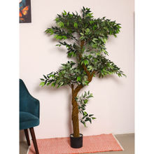 ARICK DECOR Artificial Real Touch Italian Ruscus Plants with Pot (180 Cm Tall, Green)