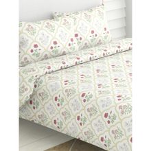 Haus & Kinder Rose Serenity 180 TC Cotton Printed Bedsheet (King)