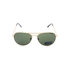 Steve Madden Men Green UV Protected Lens Polycarbonate Sunglasses
