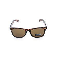 Steve Madden Men Brown UV Protected Lens Polycarbonate Sunglasses