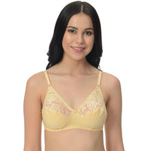 Mod & Shy Beige Non-padded Non wired Basic Bra