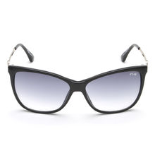 IRUS Cat Eye Black Women's Sunglass (irs1044 C1)