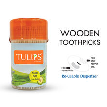 Tulips Wooden Tooth Picks 240 Sticks in a Re-Usable Dispenser