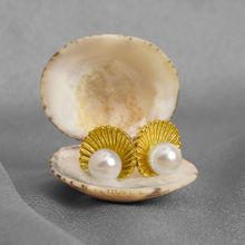 OOMPH Gold Tone Small Pearl Sea Shell Stud Earrings For Women & Girls