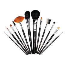 VEGA LK-12 Set Of 12 Brush With Brush Holding Bag