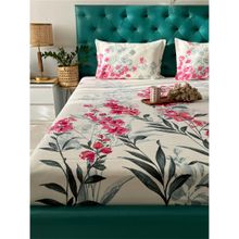 Urban Space Cotton Bedsheet With 2 Pillow Covers Cream, Pink