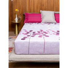 Urban Space Cotton Bedsheet Double Bed with 2 Pillow Covers - Mars Purple