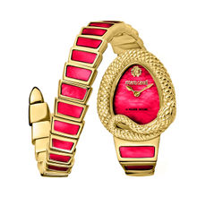 Roberto Cavalli by Frank Muller Women Red Dial Analog Watch-RV1L141M0141 (M)