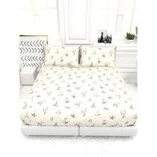 the White Moss Cider Printed Microfiber Bedsheet & 2 Pillow Covers (Queen)