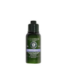 L'Occitane Gentle & Balance Micellar Shampoo (Travel Size)