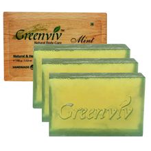 Greenviv Natural Mint Soap Pack of 3