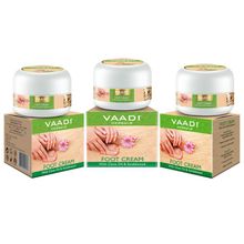 Vaadi Herbals Value Pack Of 3 Foot Cream - Clove & Sandal Oil