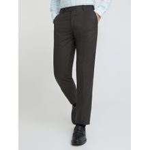Park Avenue Regular Fit Solid Grey Trousers