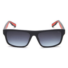 FILA Sfi525K 57 991 Sunglasses (57)