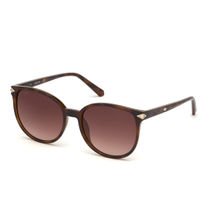 Swarovski Sunglasses Brown Round Women Sunglasses SK0191 55 52F