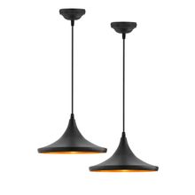 Homesake Metal Danish Hanging Ceiling Light Black 2 Piece