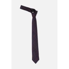 Allen Solly Mens Navy Blue Embroidered Formal Tie