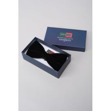 Peter England Men Black Solid Party Bow Tie