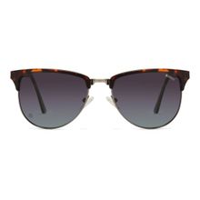 Enrico Demi Polycarbonate Wayfarer Solflare Unisex Sunglasses