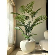 Mason Home Artificial Lush Green Areca 6 Ft Palm