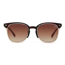 Enrico Brown Polycarbonate Clubmaster Garnay Unisex Sunglasses