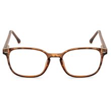 ROYAL SON Square Men Women Spectacles Frame Brown Ray Cut Lens-SF0044-C3 (50)