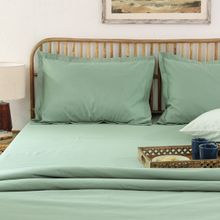 House This Sage Bedsheet Set Green (King)