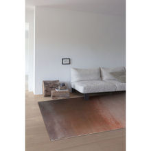 Ddecor Rugs Charm-473204-Ak200-3X5 Feet Rug